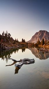 Preview wallpaper lake, driftwood, mountains, trees, landscape