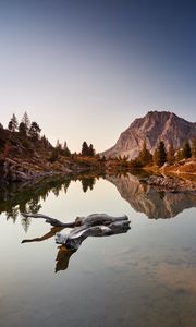 Preview wallpaper lake, driftwood, mountains, trees, landscape