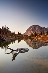 Preview wallpaper lake, driftwood, mountains, trees, landscape