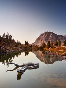 Preview wallpaper lake, driftwood, mountains, trees, landscape