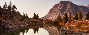 Preview wallpaper lake, driftwood, mountains, trees, landscape