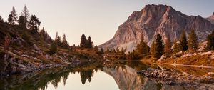 Preview wallpaper lake, driftwood, mountains, trees, landscape