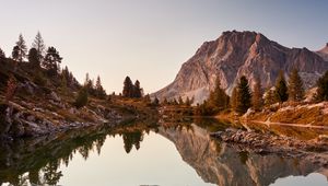 Preview wallpaper lake, driftwood, mountains, trees, landscape