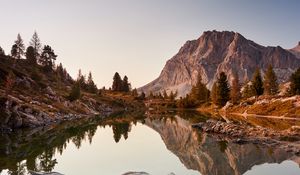 Preview wallpaper lake, driftwood, mountains, trees, landscape