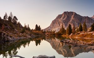 Preview wallpaper lake, driftwood, mountains, trees, landscape