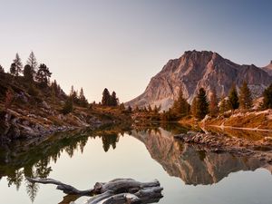 Preview wallpaper lake, driftwood, mountains, trees, landscape