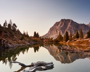 Preview wallpaper lake, driftwood, mountains, trees, landscape