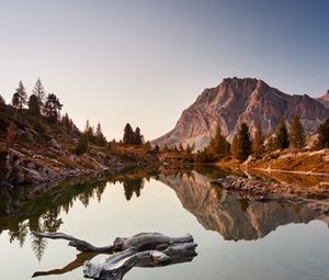 Preview wallpaper lake, driftwood, mountains, trees, landscape