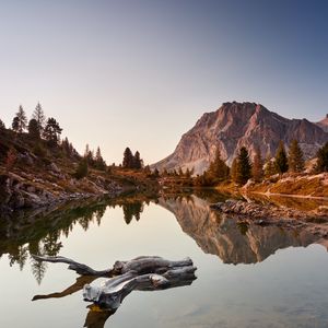 Preview wallpaper lake, driftwood, mountains, trees, landscape