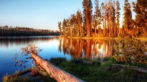 Preview wallpaper lake, evening, trees, log, water, light