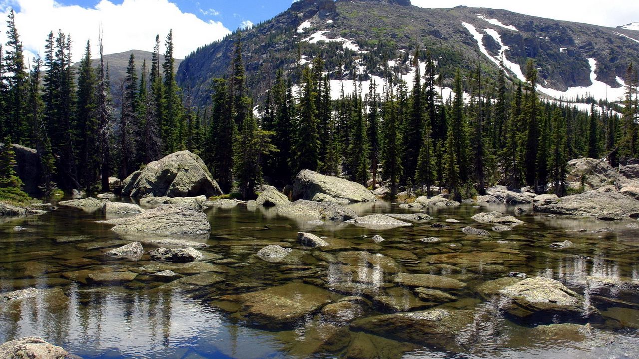 Wallpaper lake, fir-trees, water, transparent, reservoir, mountains