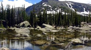 Preview wallpaper lake, fir-trees, water, transparent, reservoir, mountains