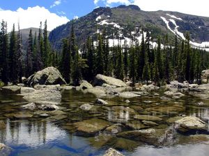 Preview wallpaper lake, fir-trees, water, transparent, reservoir, mountains