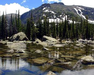 Preview wallpaper lake, fir-trees, water, transparent, reservoir, mountains