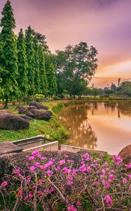 Preview wallpaper lake, flowers, trees, landscape, spring