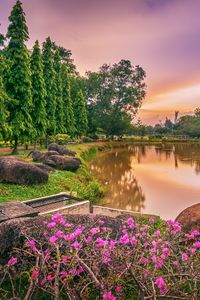 Preview wallpaper lake, flowers, trees, landscape, spring