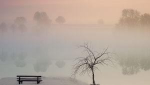 Preview wallpaper lake, fog, bench, shore, nature