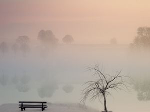 Preview wallpaper lake, fog, bench, shore, nature