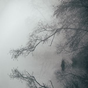 Preview wallpaper lake, fog, branches, reflection, landscape