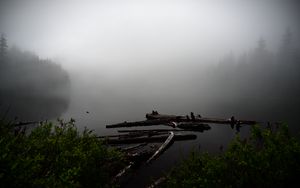Preview wallpaper lake, fog, bushes, water