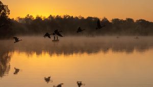 Preview wallpaper lake, fog, fishermen, silhouettes, birds