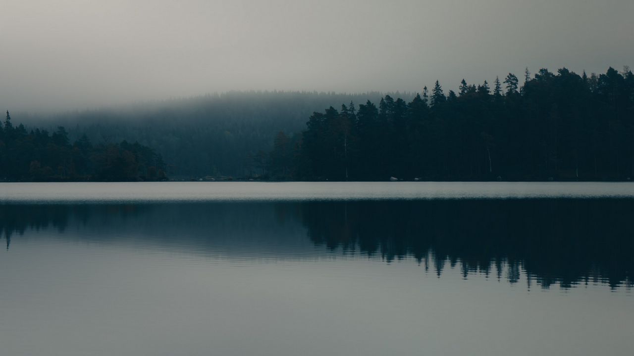 Wallpaper lake, fog, forest, nature