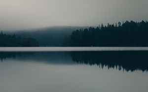 Preview wallpaper lake, fog, forest, nature