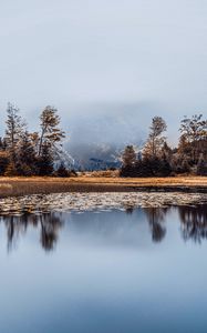 Preview wallpaper lake, fog, shore, trees, reflection