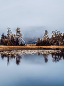 Preview wallpaper lake, fog, shore, trees, reflection