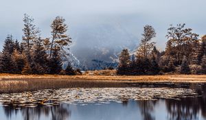Preview wallpaper lake, fog, shore, trees, reflection