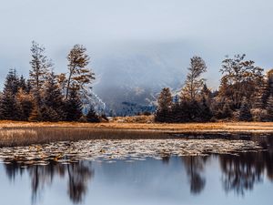 Preview wallpaper lake, fog, shore, trees, reflection
