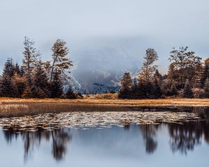 Preview wallpaper lake, fog, shore, trees, reflection