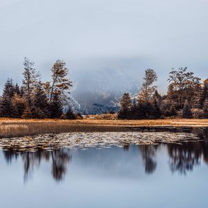 Preview wallpaper lake, fog, shore, trees, reflection