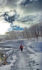 Preview wallpaper lake, fog, snow, person, winter, mountains