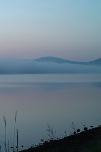 Preview wallpaper lake, fog, sunrise, landscape, nature