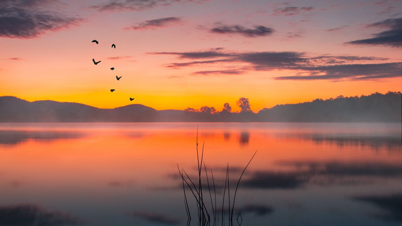 Wallpaper lake, fog, sunset, twilight, landscape