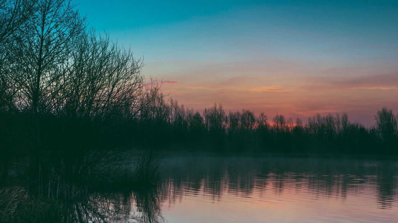 Wallpaper lake, fog, trees, sunset