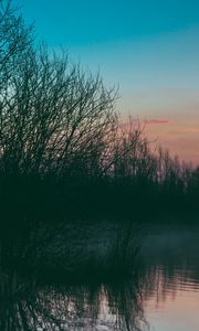 Preview wallpaper lake, fog, trees, sunset