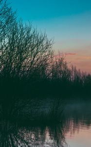 Preview wallpaper lake, fog, trees, sunset