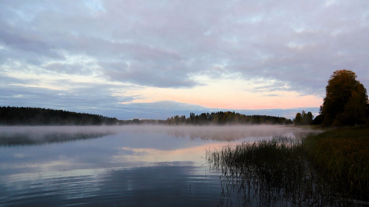 Wallpaper lake, fog, trees, dawn, landscape