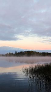 Preview wallpaper lake, fog, trees, dawn, landscape