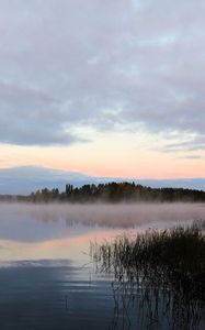 Preview wallpaper lake, fog, trees, dawn, landscape