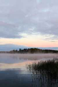 Preview wallpaper lake, fog, trees, dawn, landscape