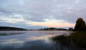 Preview wallpaper lake, fog, trees, dawn, landscape