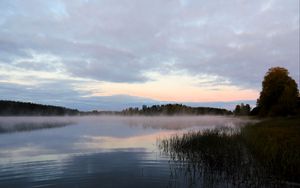 Preview wallpaper lake, fog, trees, dawn, landscape