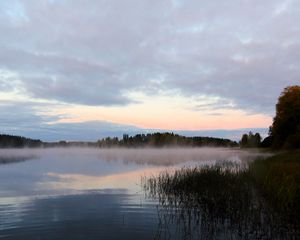 Preview wallpaper lake, fog, trees, dawn, landscape