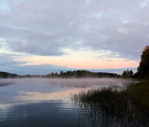 Preview wallpaper lake, fog, trees, dawn, landscape