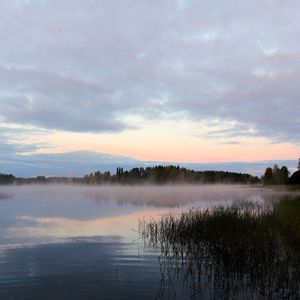 Preview wallpaper lake, fog, trees, dawn, landscape