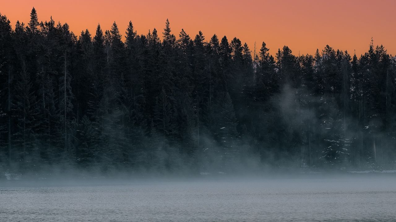 Wallpaper lake, fog, trees, dusk, landscape