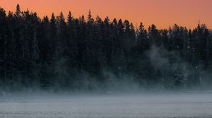 Preview wallpaper lake, fog, trees, dusk, landscape